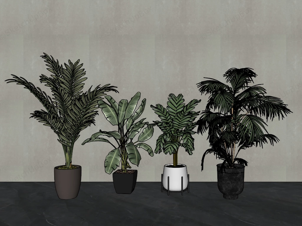 Big Indoor Houseplants sketchup model preview - SketchupBox