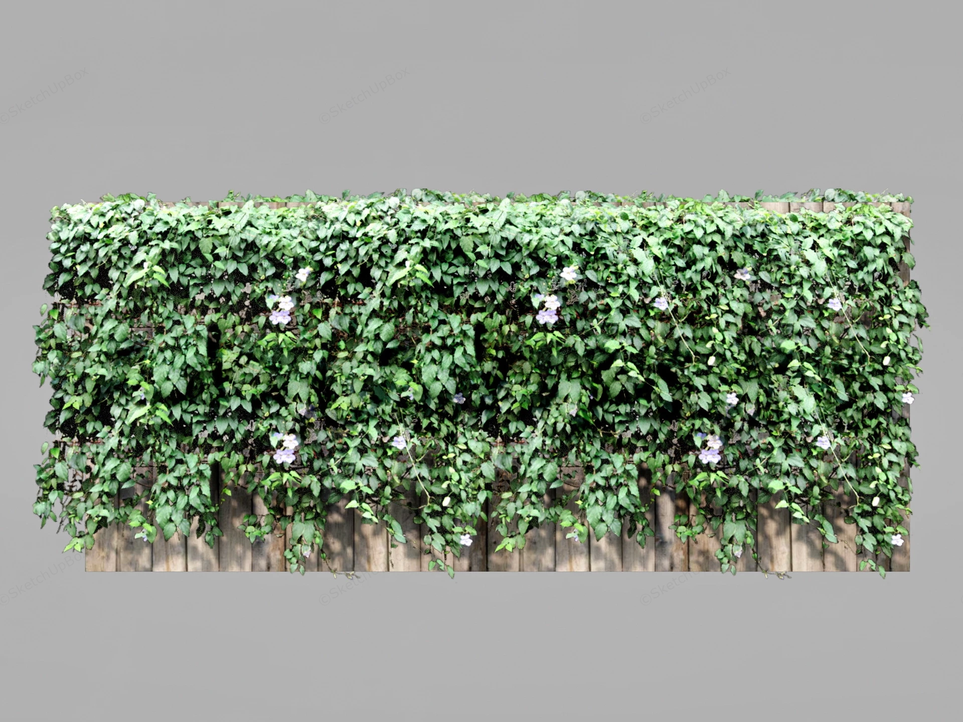 Thunbergia Grandiflora Fence sketchup model preview - SketchupBox