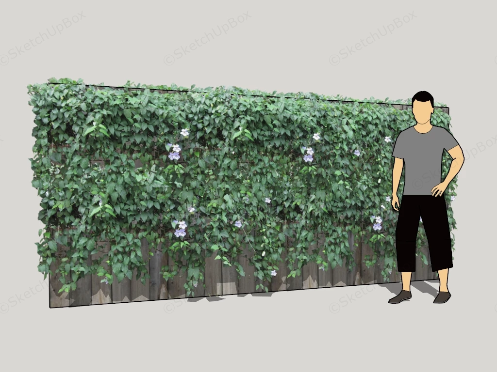 Thunbergia Grandiflora Fence sketchup model preview - SketchupBox