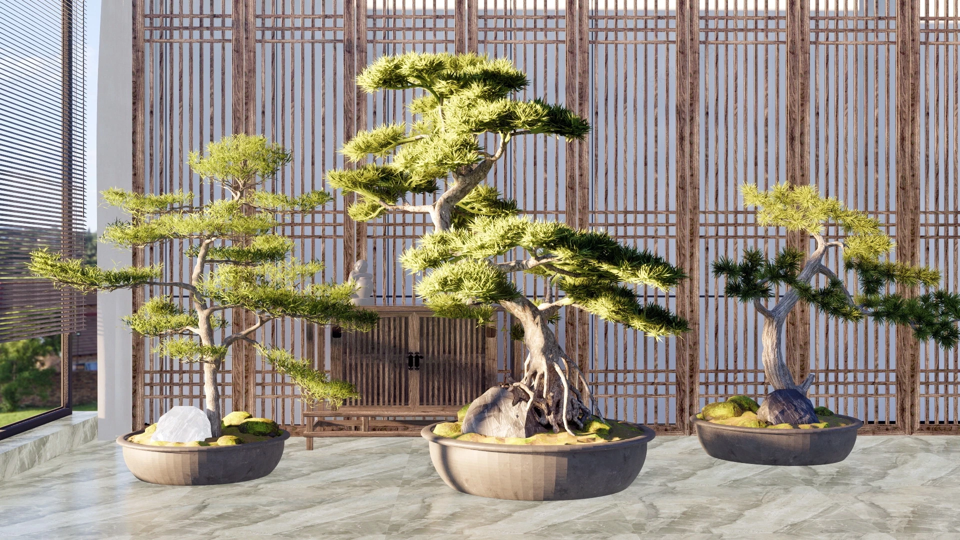 Oldest Bonsai Trees sketchup model preview - SketchupBox