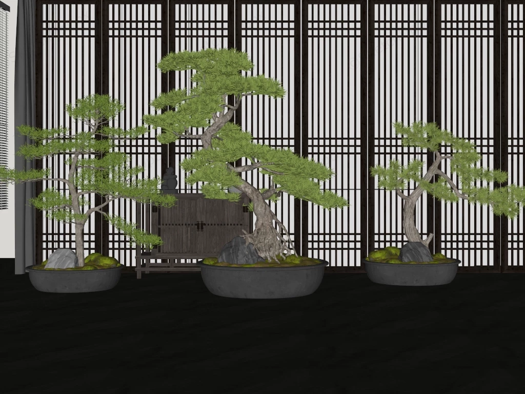 Oldest Bonsai Trees sketchup model preview - SketchupBox