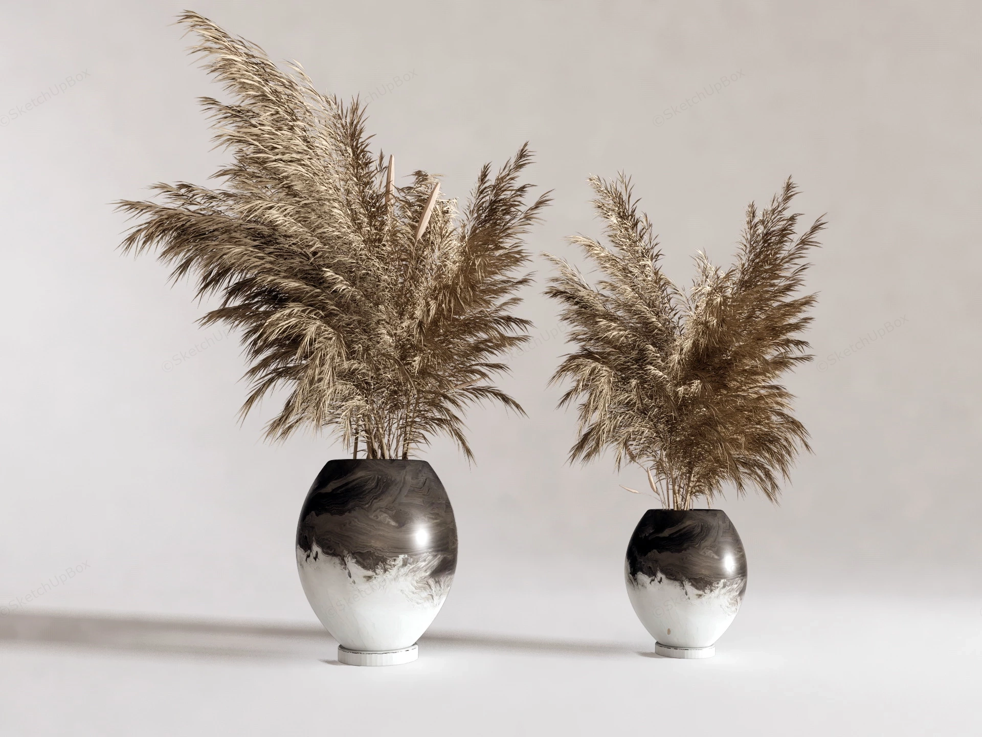 Bouquet Of Dried Reeds sketchup model preview - SketchupBox