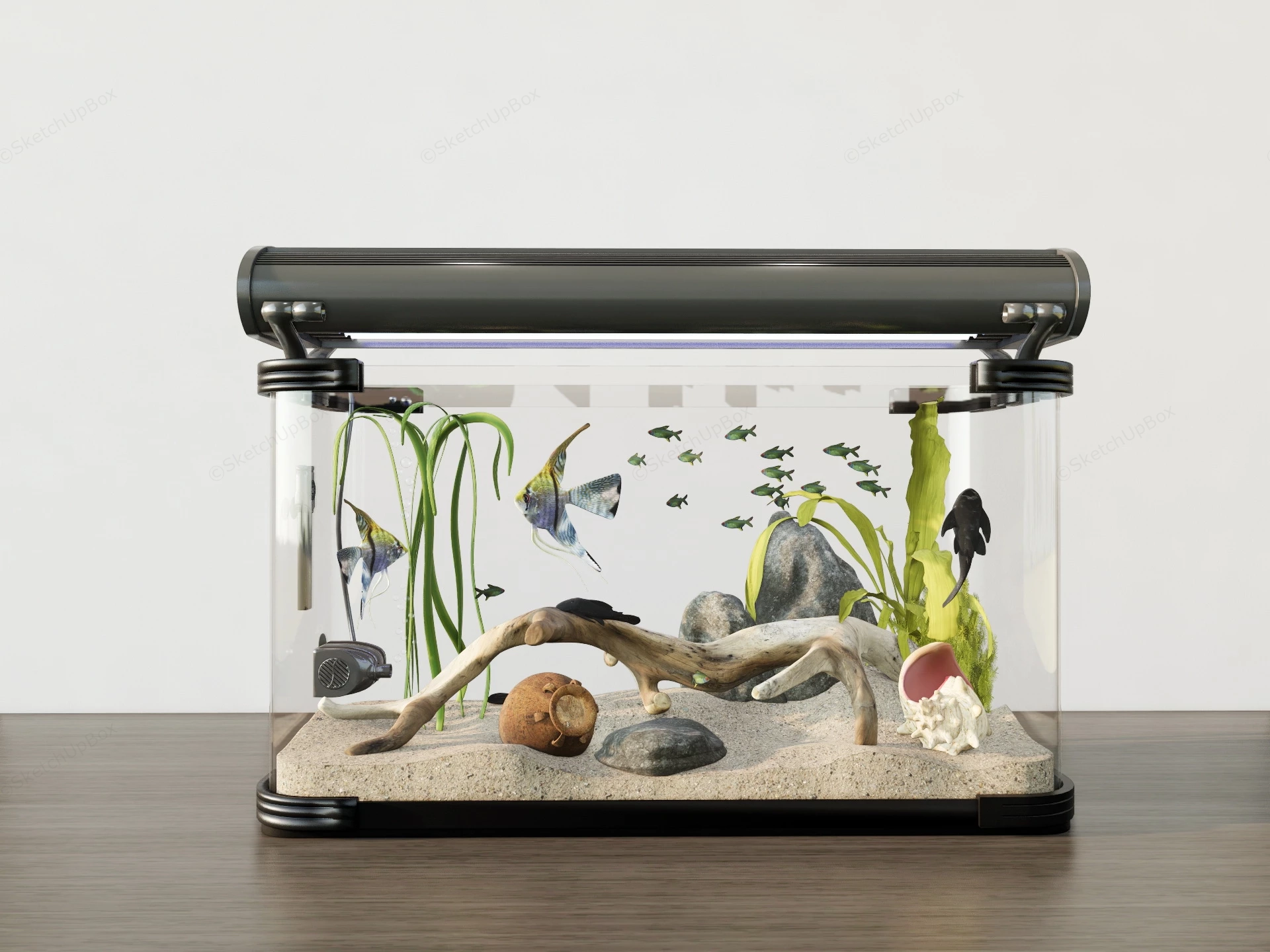 Aquascape Fish Tank sketchup model preview - SketchupBox
