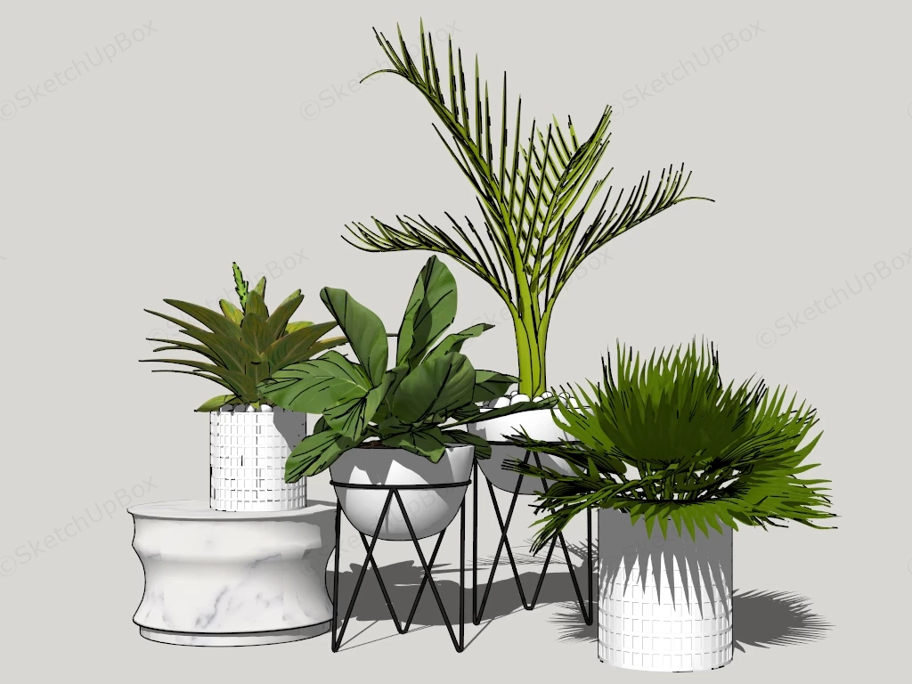 Tropical Foliage Plants sketchup model preview - SketchupBox