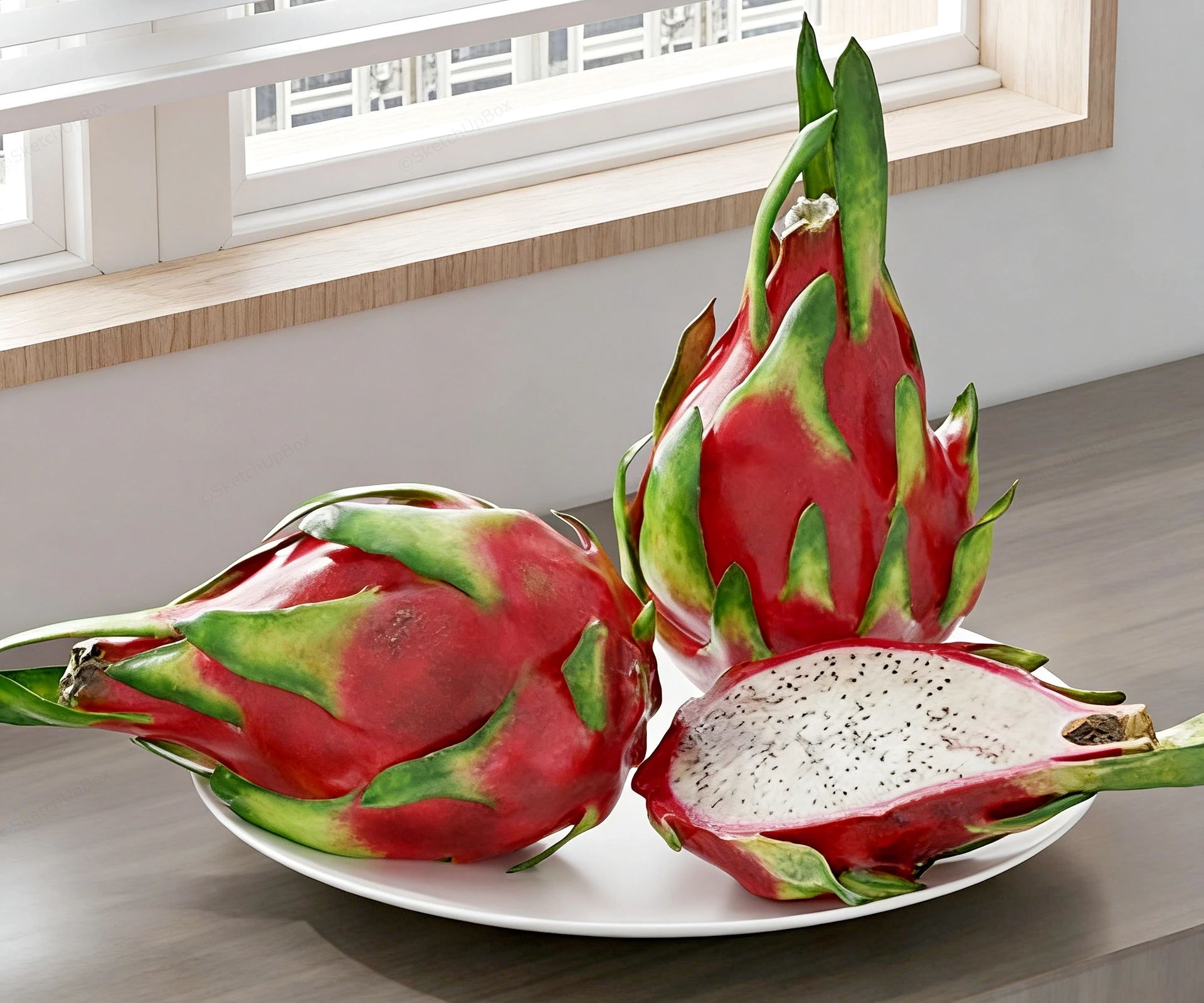 White Dragon Fruit sketchup model preview - SketchupBox