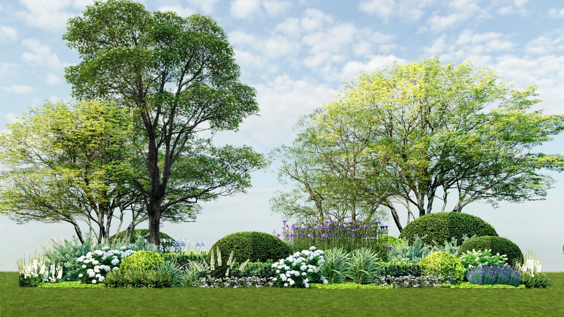 Mixed Border Planting Design sketchup model preview - SketchupBox