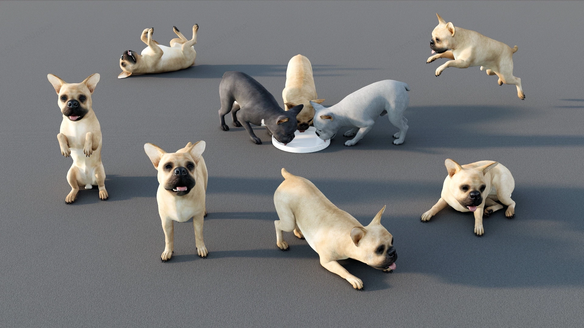 French Bulldog Puppies sketchup model preview - SketchupBox