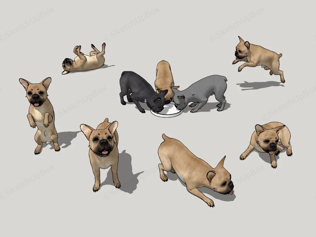 French Bulldog Puppies sketchup model preview - SketchupBox