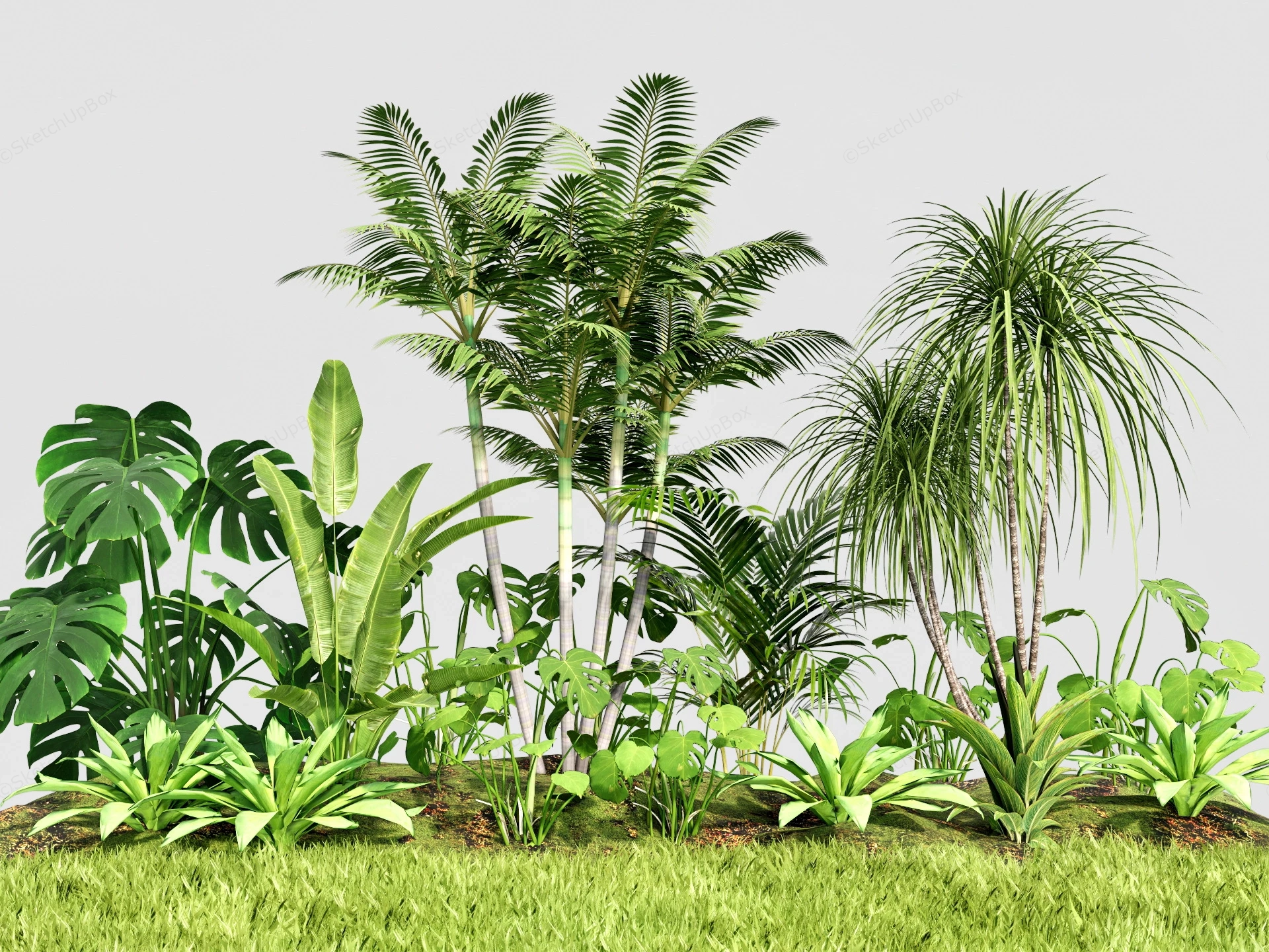 Tropical Garden Design sketchup model preview - SketchupBox