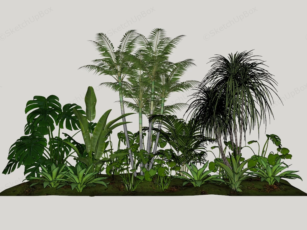 Tropical Garden Design sketchup model preview - SketchupBox