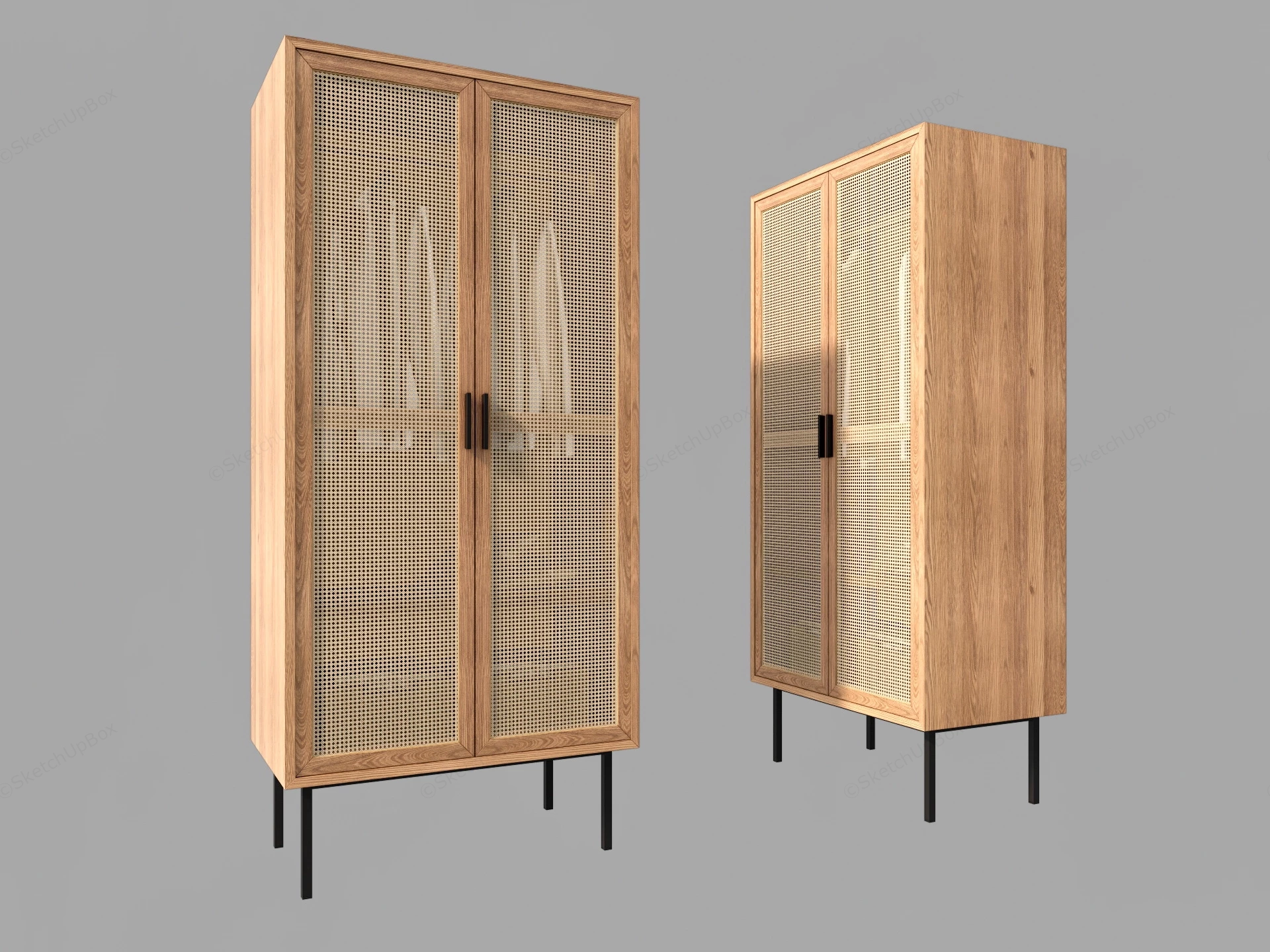 Rattan Armoire Wardrobe sketchup model preview - SketchupBox