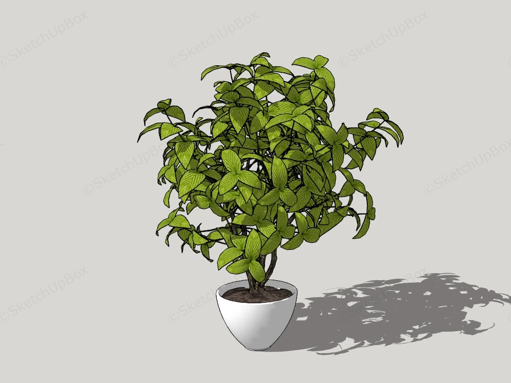 Potted Ornamental Tree sketchup model preview - SketchupBox