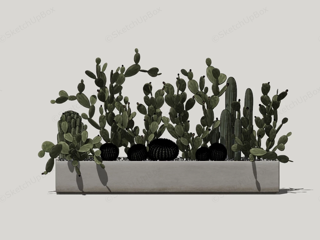 Cactus Garden Design sketchup model preview - SketchupBox