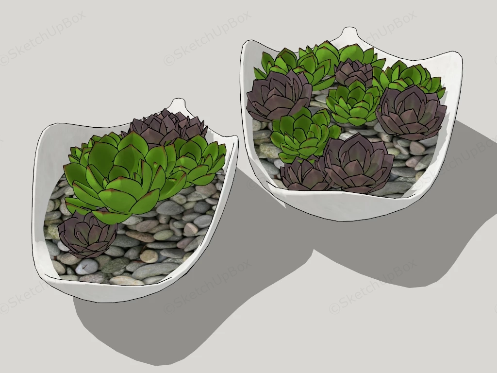 Succulent Arrangements sketchup model preview - SketchupBox