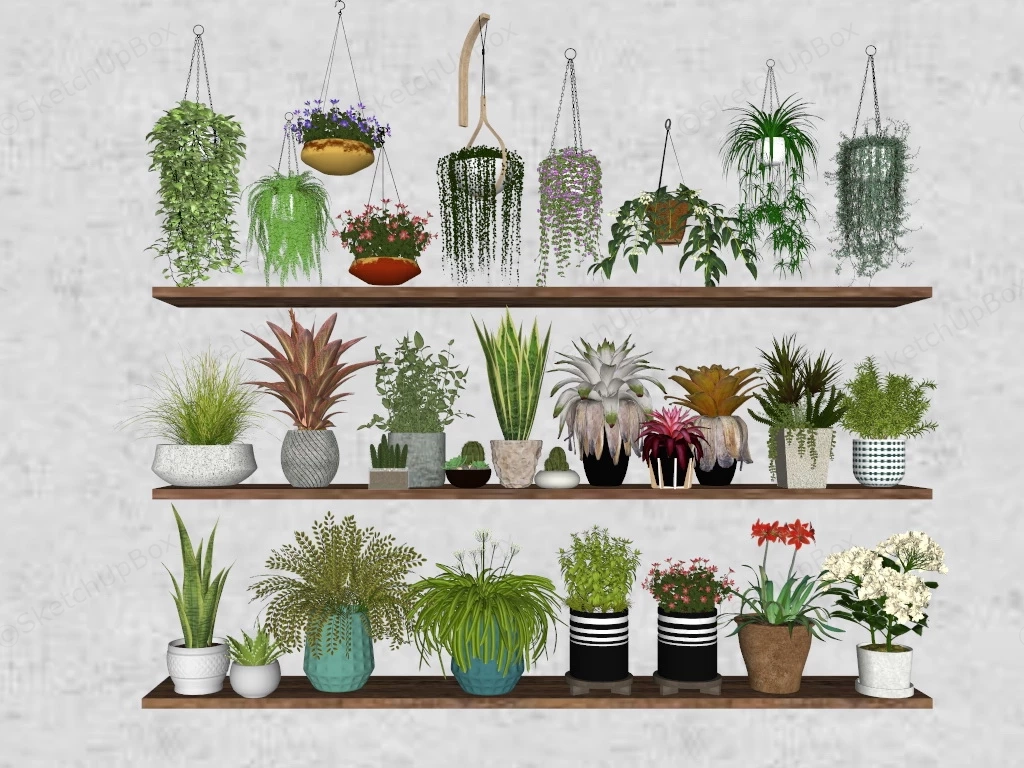 Indoor Houseplant Collection sketchup model preview - SketchupBox