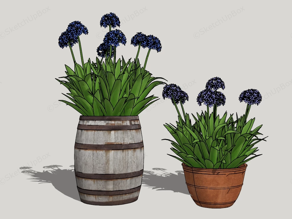 Potted Agapanthus Plants sketchup model preview - SketchupBox