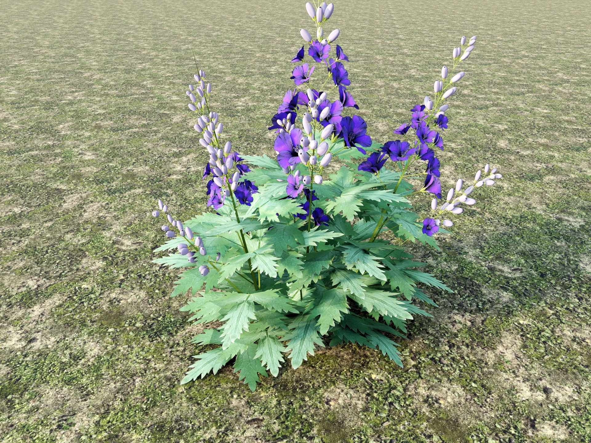 Purple Hibiscus Flower Plant sketchup model preview - SketchupBox
