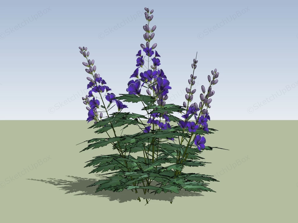 Purple Hibiscus Flower Plant sketchup model preview - SketchupBox