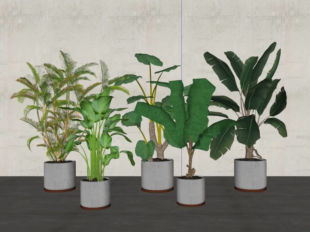 Big Indoor Houseplants sketchup model preview - SketchupBox