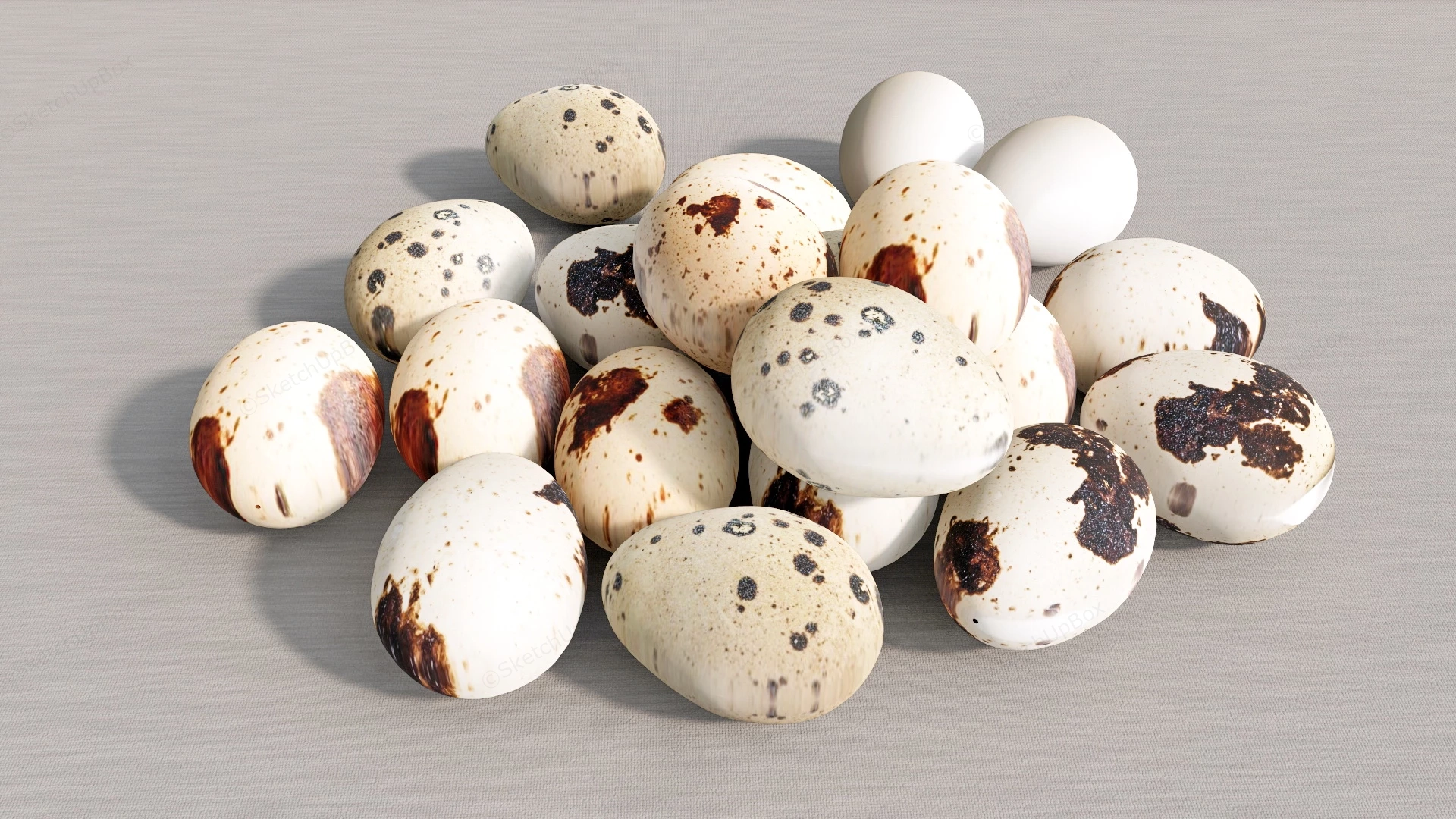 Quail Eggs sketchup model preview - SketchupBox