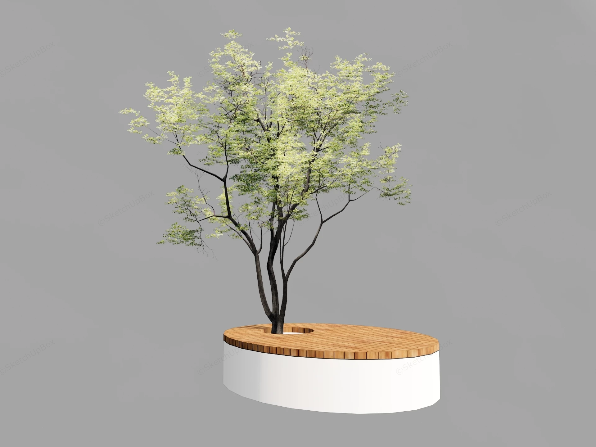 Bench Seat Around Tree sketchup model preview - SketchupBox