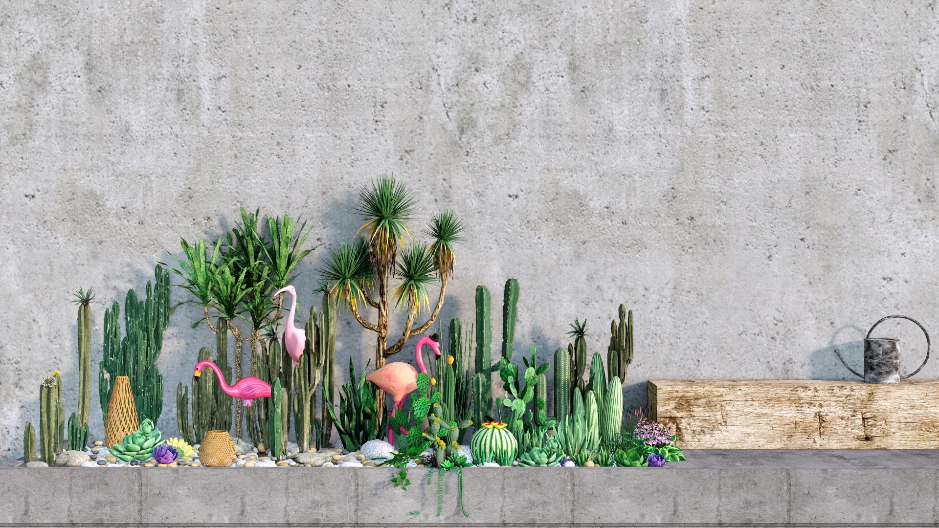 Home Cactus Garden sketchup model preview - SketchupBox