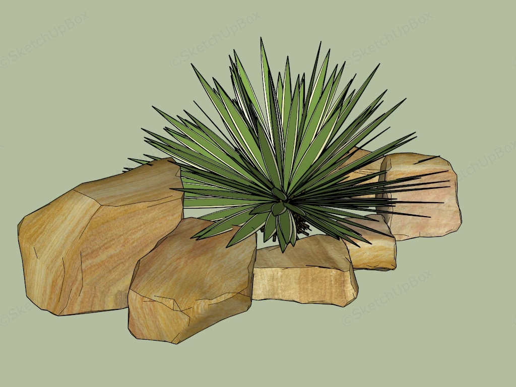 Caribbean Agave Plant sketchup model preview - SketchupBox