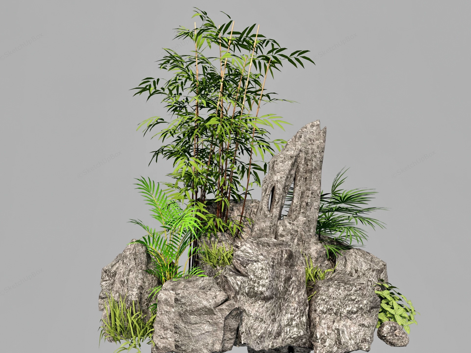Bamboo & Rock Garden sketchup model preview - SketchupBox