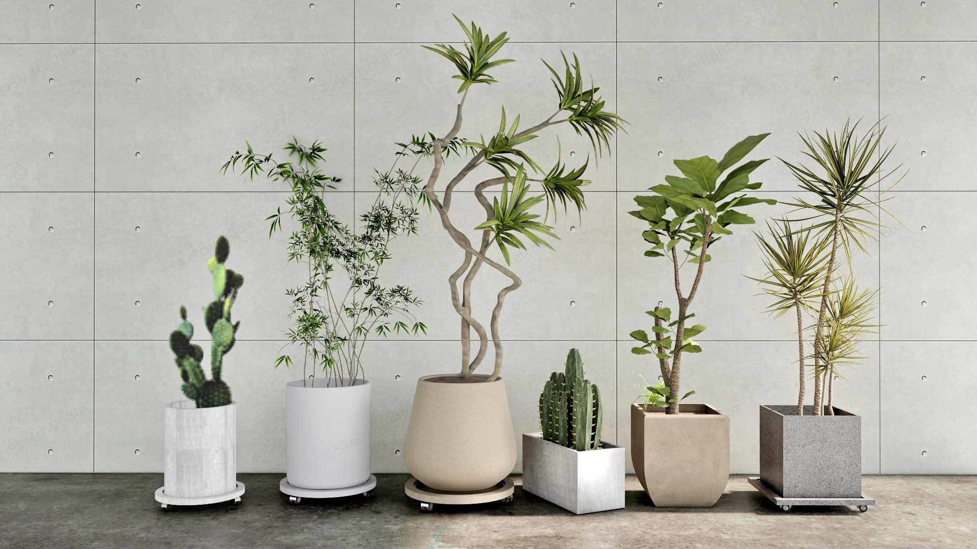 Common Indoor Plants sketchup model preview - SketchupBox