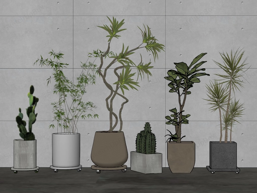 Common Indoor Plants sketchup model preview - SketchupBox