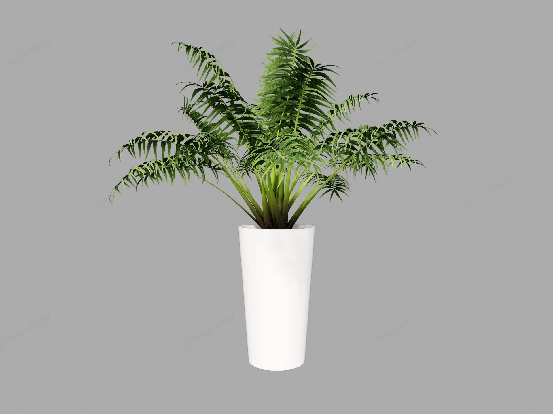 Potted Palm Plant sketchup model preview - SketchupBox