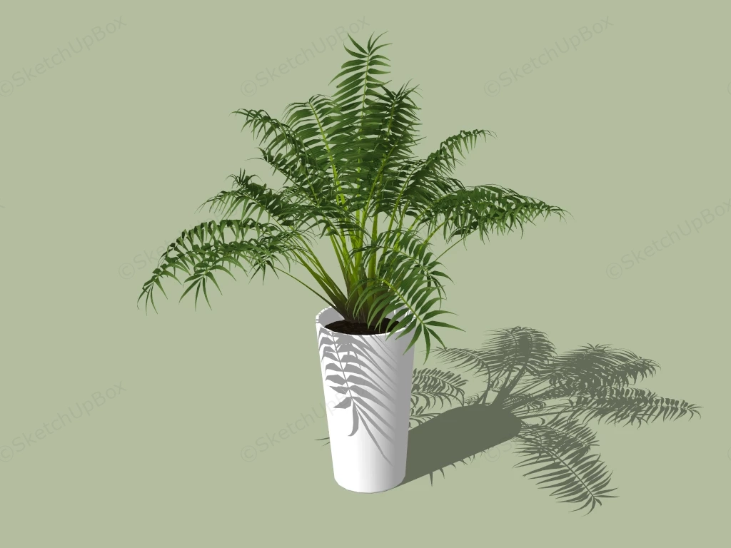 Potted Palm Plant sketchup model preview - SketchupBox