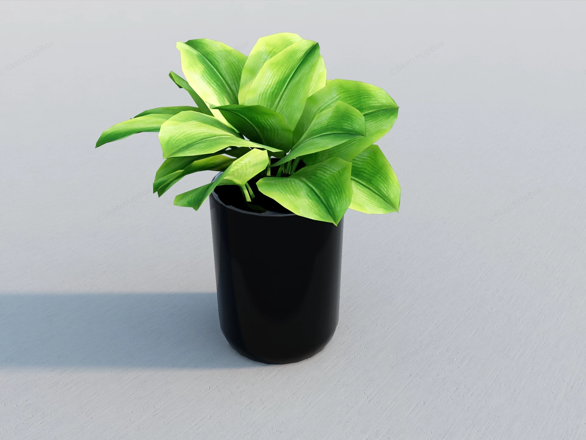 Epipremnum Potted Plants sketchup model preview - SketchupBox