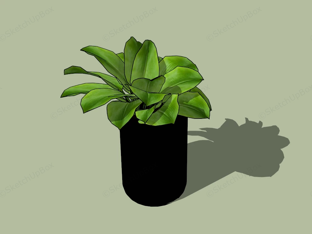 Epipremnum Potted Plants sketchup model preview - SketchupBox