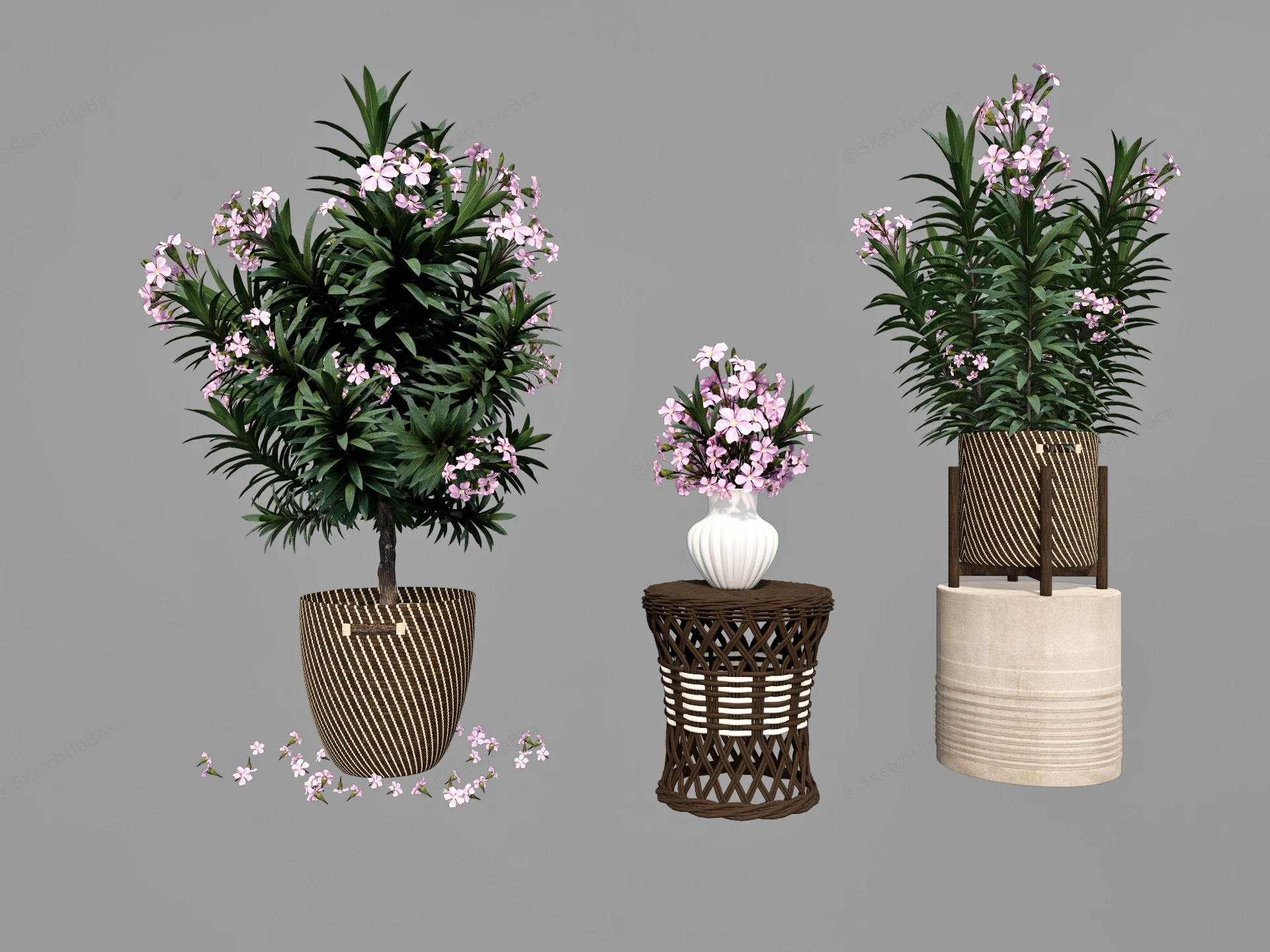 Potted Flowers sketchup model preview - SketchupBox