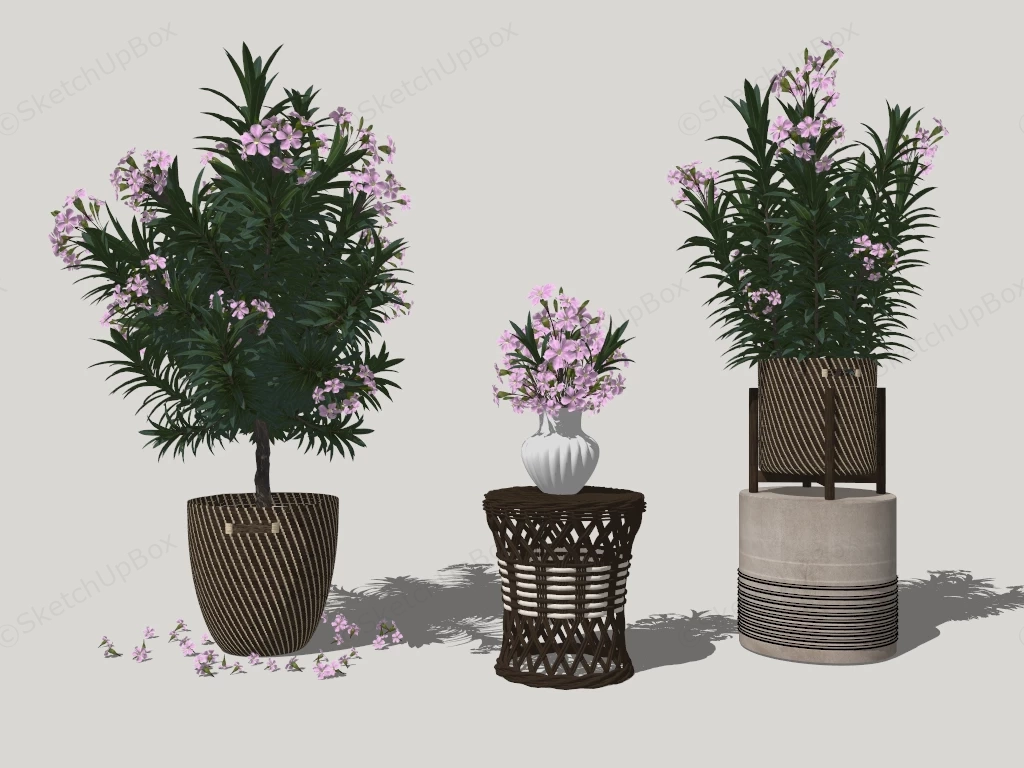 Potted Flowers sketchup model preview - SketchupBox
