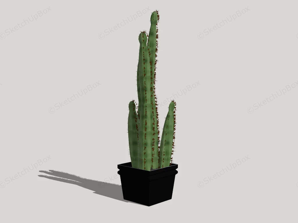 Potted Indoor Cactus sketchup model preview - SketchupBox