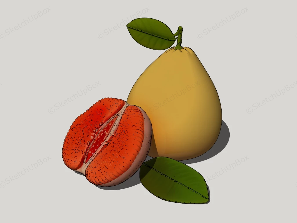 Red Pomelo Fruit sketchup model preview - SketchupBox