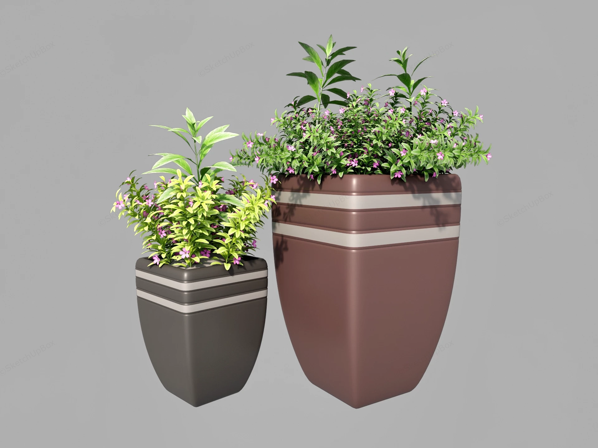 Potted Flowering Plants sketchup model preview - SketchupBox