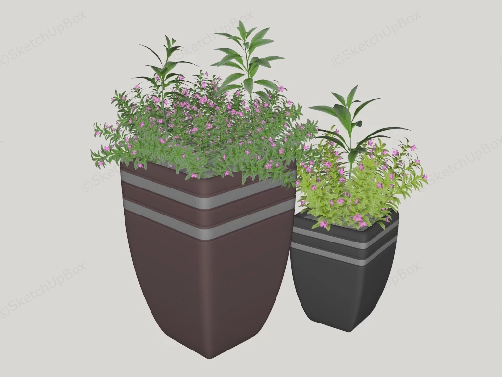 Potted Flowering Plants sketchup model preview - SketchupBox