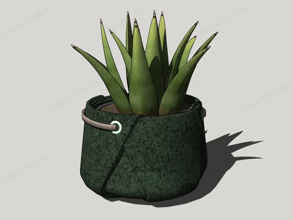 Aloe Vera Plant In Pot sketchup model preview - SketchupBox