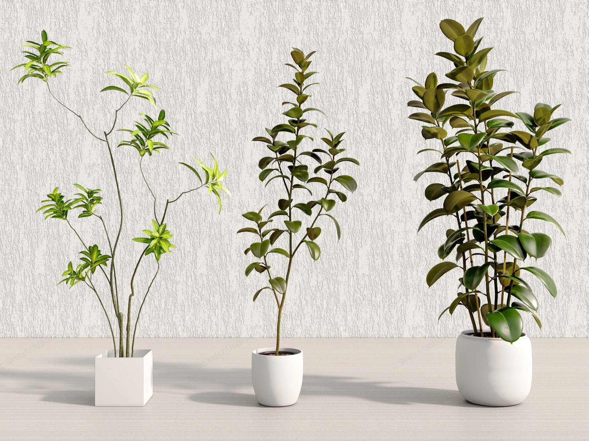 Trees Indoor Houseplants sketchup model preview - SketchupBox
