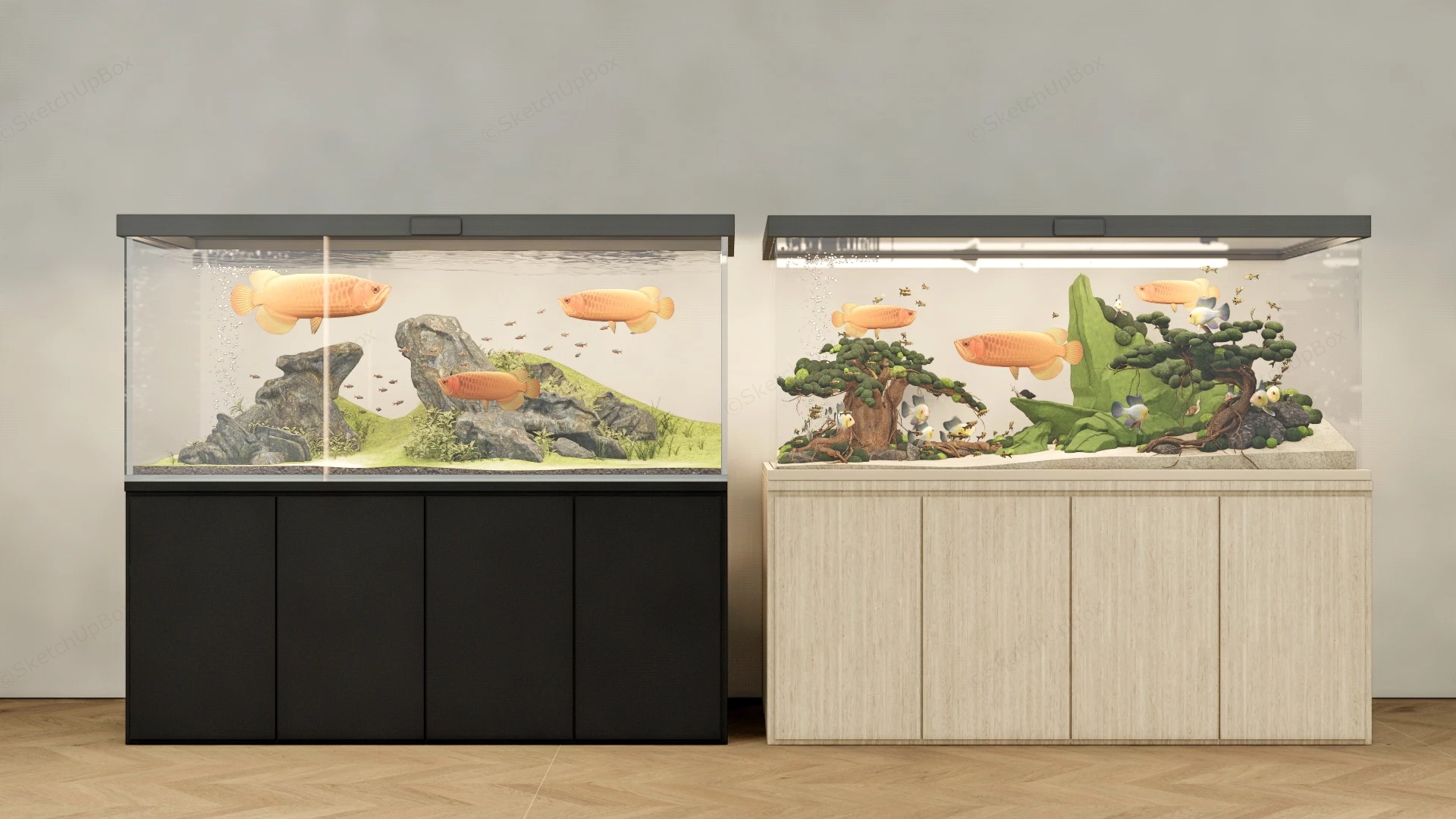 Home Aquarium Aquascape Ideas sketchup model preview - SketchupBox