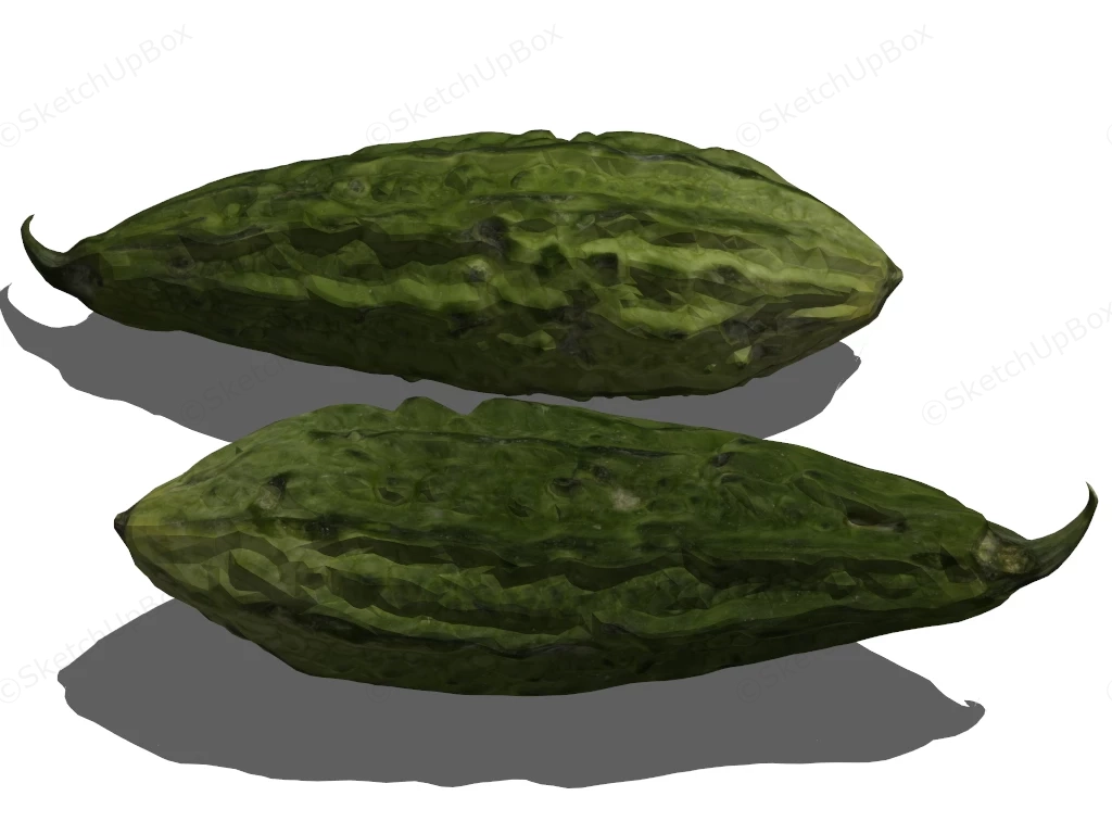 Bitter Gourd sketchup model preview - SketchupBox