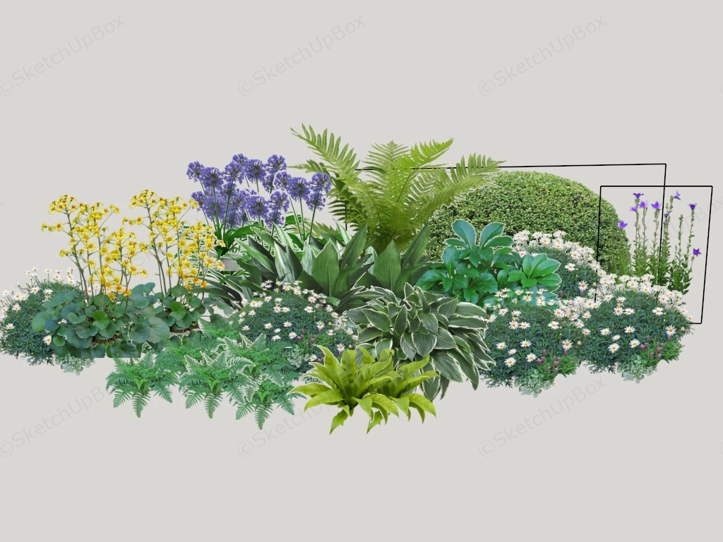 Herbaceous Border Plants sketchup model preview - SketchupBox