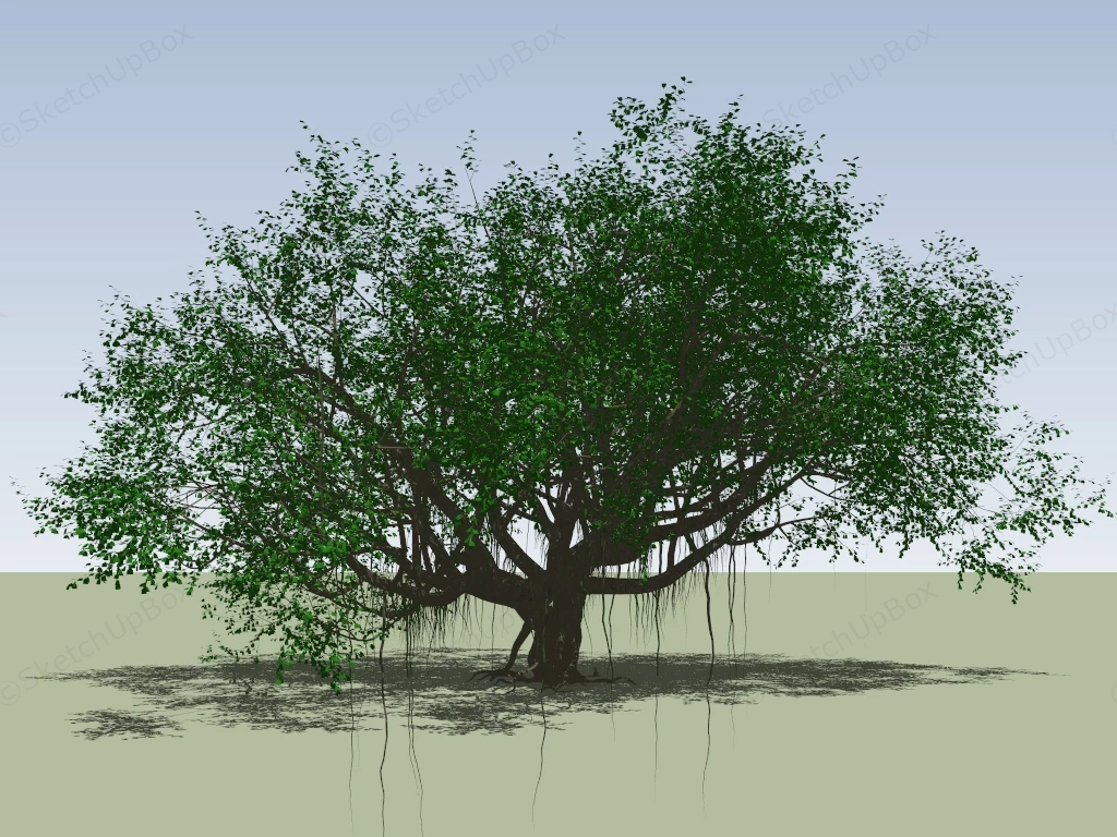 Big Banyan Tree sketchup model preview - SketchupBox