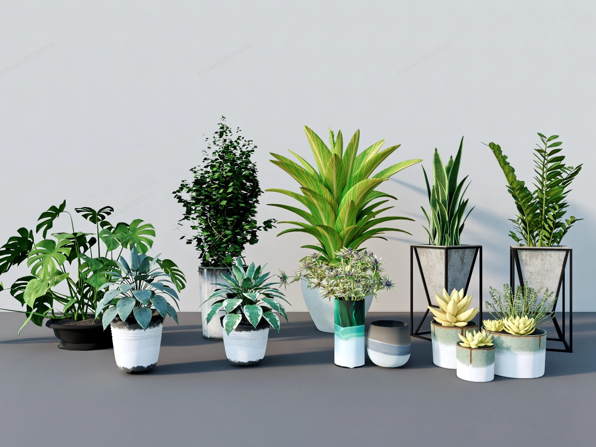 Popular Indoor Houseplants sketchup model preview - SketchupBox