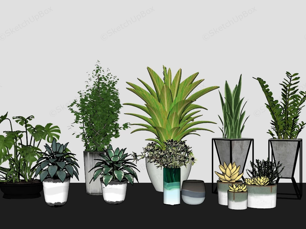 Popular Indoor Houseplants sketchup model preview - SketchupBox