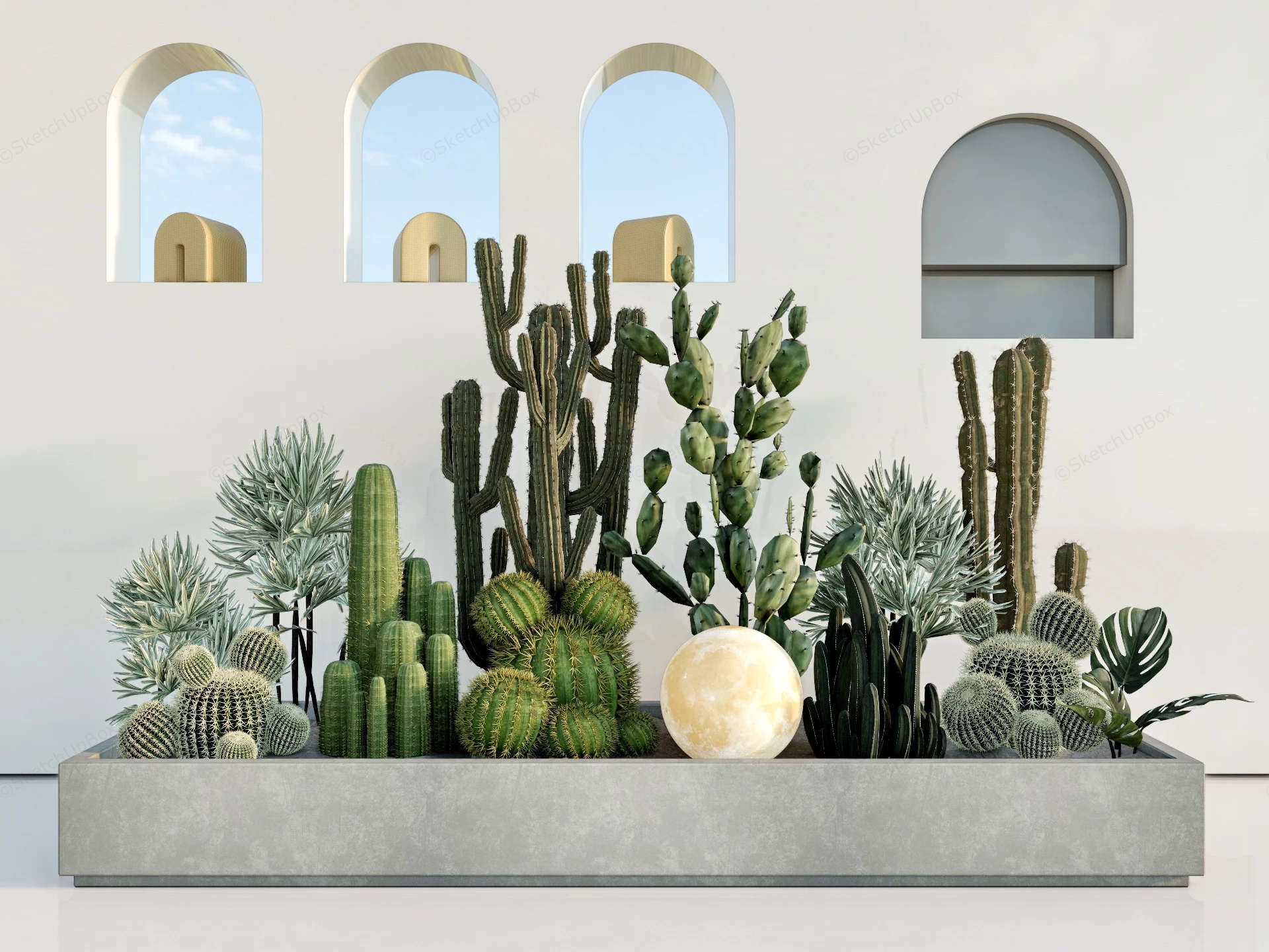 Cactus Garden Design Idea sketchup model preview - SketchupBox