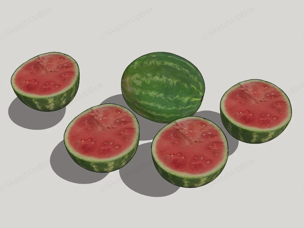 Watermelon Fruit sketchup model preview - SketchupBox